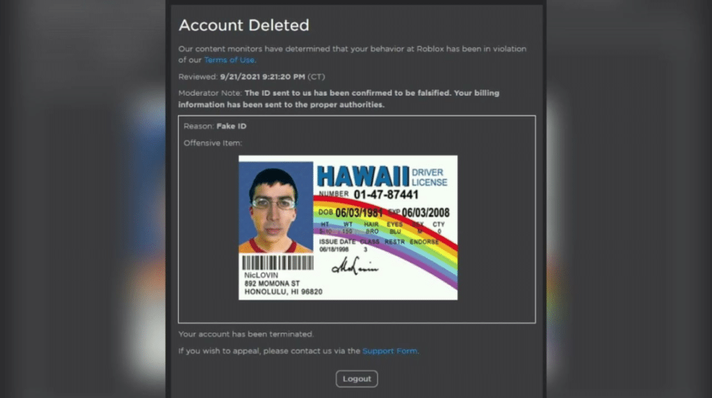 Fake IDs on Roblox